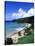 Bloody Bay, Tobago, Caribbean-Angelo Cavalli-Stretched Canvas