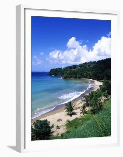 Bloody Bay, Tobago, Caribbean-Angelo Cavalli-Framed Premium Photographic Print