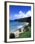 Bloody Bay, Tobago, Caribbean-Angelo Cavalli-Framed Premium Photographic Print