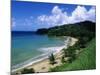 Bloody Bay, Tobago, Caribbean-Angelo Cavalli-Mounted Photographic Print