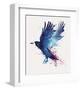 Bloody Crow-Robert Farkas-Framed Art Print