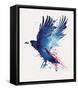 Bloody Crow-Robert Farkas-Framed Stretched Canvas