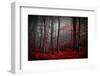 Bloody River-Samanta-Framed Photographic Print