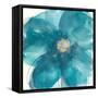 Bloom Beauty II-Chris Paschke-Framed Stretched Canvas