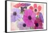Bloom Bright-Kimberly Allen-Framed Stretched Canvas