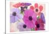 Bloom Bright-Kimberly Allen-Stretched Canvas
