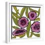 Bloom Burst-Trish Sierer-Framed Art Print