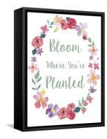 Bloom Floral Bdr-Fiona Stokes-Gilbert-Framed Stretched Canvas