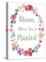 Bloom Floral Bdr-Fiona Stokes-Gilbert-Stretched Canvas