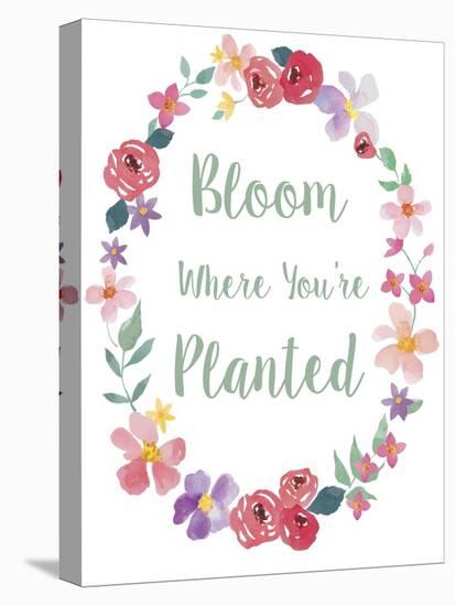 Bloom Floral Bdr-Fiona Stokes-Gilbert-Stretched Canvas