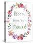 Bloom Floral Bdr-Fiona Stokes-Gilbert-Stretched Canvas