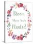 Bloom Floral Bdr-Fiona Stokes-Gilbert-Stretched Canvas