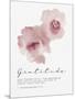 Bloom - Gratitude-Sandra Jacobs-Mounted Giclee Print