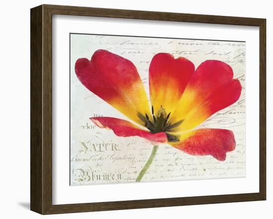 Bloom I-Amy Melious-Framed Art Print