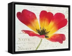 Bloom I-Amy Melious-Framed Stretched Canvas