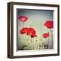 Bloom I-Amy Melious-Framed Art Print