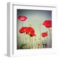 Bloom I-Amy Melious-Framed Art Print