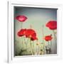 Bloom I-Amy Melious-Framed Premium Giclee Print