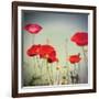 Bloom I-Amy Melious-Framed Premium Giclee Print