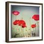 Bloom I-Amy Melious-Framed Art Print