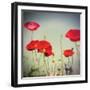 Bloom I-Amy Melious-Framed Art Print