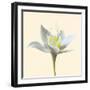 Bloom II-Max Carter-Framed Giclee Print