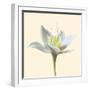 Bloom II-Max Carter-Framed Giclee Print