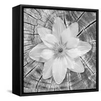 Bloom II-Kathy Mahan-Framed Stretched Canvas