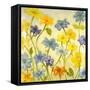 Bloom II-Randy Hibberd-Framed Stretched Canvas