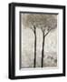 Bloom II-Tim O'toole-Framed Art Print