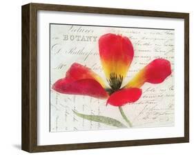 Bloom II-Amy Melious-Framed Premium Giclee Print