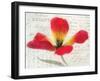 Bloom II-Amy Melious-Framed Premium Giclee Print