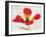 Bloom II-Amy Melious-Framed Premium Giclee Print