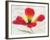 Bloom II-Amy Melious-Framed Art Print