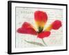 Bloom II-Amy Melious-Framed Art Print