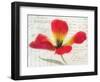 Bloom II-Amy Melious-Framed Art Print