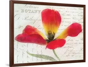 Bloom II-Amy Melious-Framed Art Print