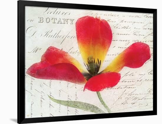 Bloom II-Amy Melious-Framed Art Print