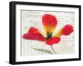 Bloom II-Amy Melious-Framed Art Print