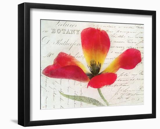 Bloom II-Amy Melious-Framed Art Print