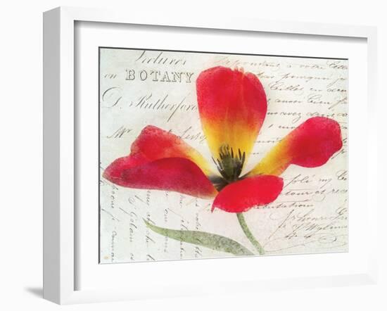 Bloom II-Amy Melious-Framed Art Print