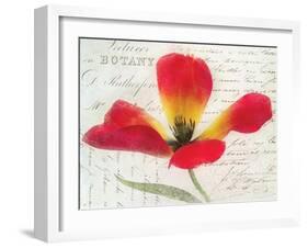 Bloom II-Amy Melious-Framed Art Print