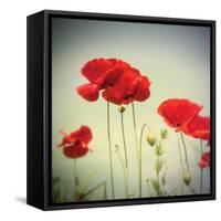 Bloom II-Amy Melious-Framed Stretched Canvas