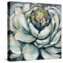 Bloom II-Jeanette Vertentes-Stretched Canvas