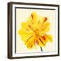 Bloom III-Max Carter-Framed Giclee Print