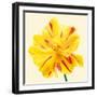 Bloom III-Max Carter-Framed Giclee Print