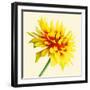 Bloom IV-Max Carter-Framed Giclee Print