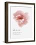 Bloom - Love-Sandra Jacobs-Framed Giclee Print