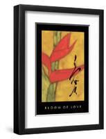 Bloom Of Love 1-Sybil Shane-Framed Art Print