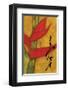 Bloom of Love II-Sybil Shane-Framed Art Print